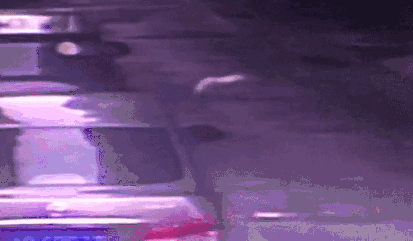 t01e3058a92ec96a869.gif?size=413x241