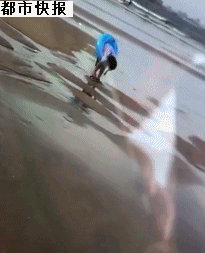 t011fdb81224d607911.gif?size=205x253