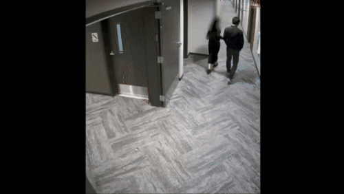t0176d7542df967bd36.gif?size=500x282