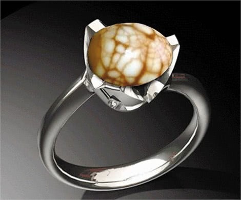 t01dffe94b4ef49c339.jpg?size=470x390