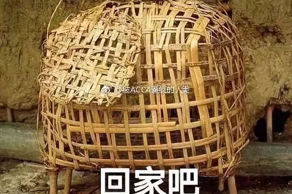抖音鸡笼警告是什么意思 陷阱都这么形象为朱一龙生娃？
