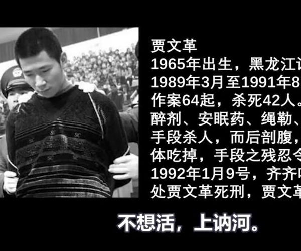 贾文葛徐丽霞为什么不跑 疯狂的手段骇人听闻太变态了