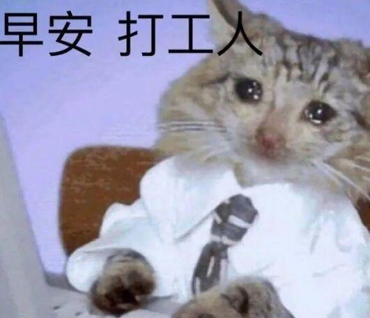 打工人什么梗