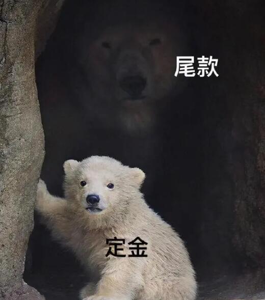 尾款人定金人什么意思 