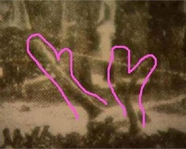 1934年的“营口坠龙事件”，那只巨大的生物究竟是什么？