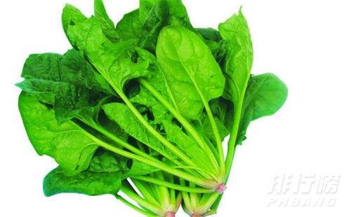 碱性食物有哪些_十大碱性食物排名