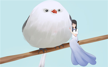 柯立芝效应和月晕效应是什么意思