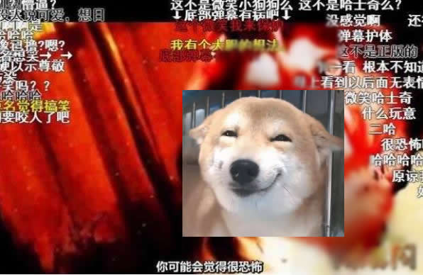 微笑狗恐怖图片：微笑狗事件原图与真相