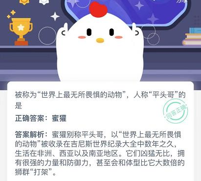 被称为世界上最无所畏惧的动物人称平头哥的是什么？