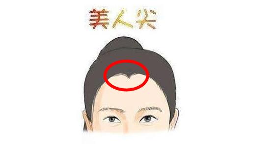 什么是美人尖:长美人尖有什么好处及命运(美人尖图片) 什么是美人尖:长美人尖有什么好处及命运(美人尖图片)