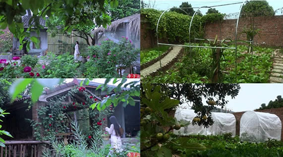 李子柒家的院子全景图 真实场景原来是这样子的