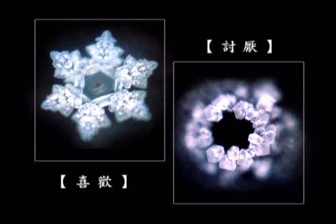 水知道答案是伪科学央视辟谣了,江本胜资料扒皮为了赚钱太无耻了