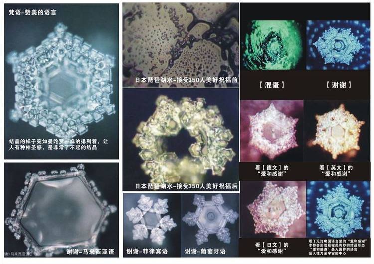 水知道答案是伪科学央视辟谣了,江本胜资料扒皮为了赚钱太无耻了