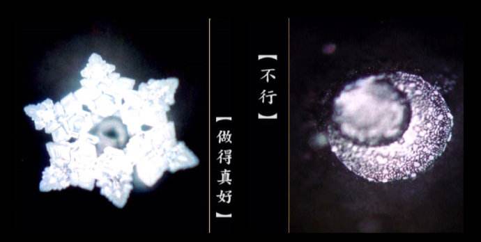 水知道答案是伪科学央视辟谣了,江本胜资料扒皮为了赚钱太无耻了