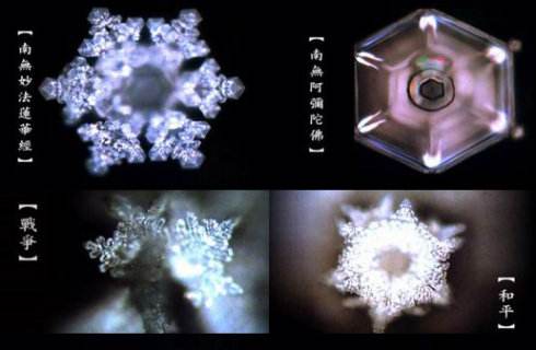 水知道答案是伪科学央视辟谣了,江本胜资料扒皮为了赚钱太无耻了