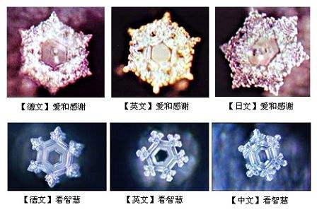 水知道答案是伪科学央视辟谣了,江本胜资料扒皮为了赚钱太无耻了
