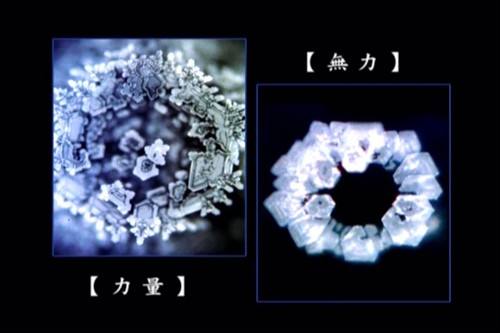 水知道答案是伪科学央视辟谣了,江本胜资料扒皮为了赚钱太无耻了