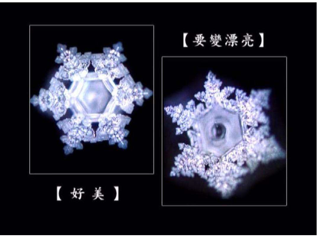 水知道答案是伪科学央视辟谣了,江本胜资料扒皮为了赚钱太无耻了