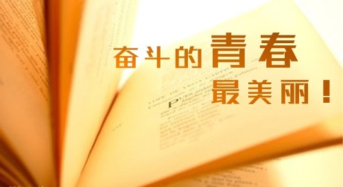 关于努力奋斗拼搏的句子大全100句