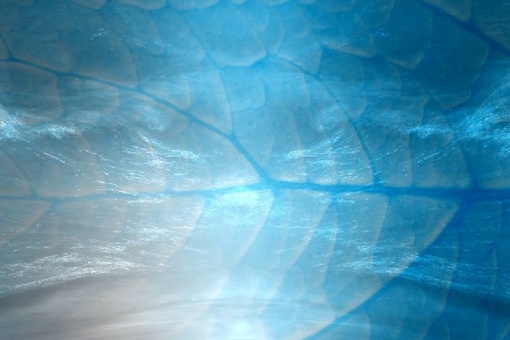 海底9万米有多恐怖?海底一万米吓疯潜水员
