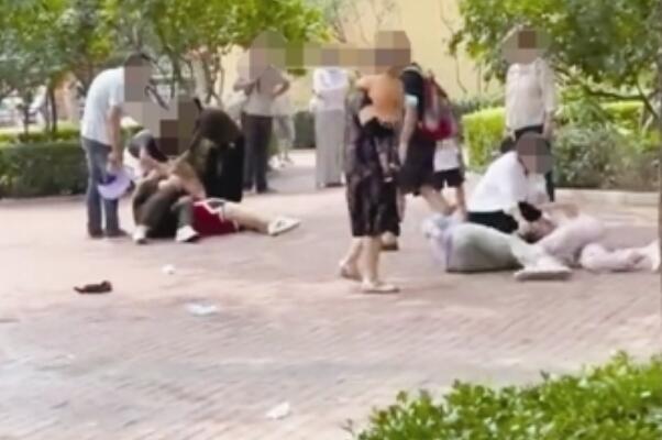 北京野生动物园内有动物效仿人类打斗是真的假的是怎么回事？