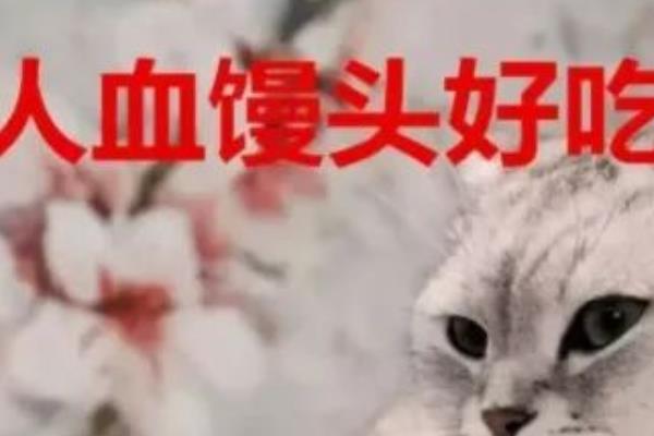 人血馒头比喻什么出自哪里，人血馒头历史上真实存在的吗