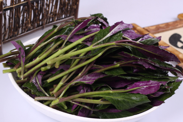 观音菜有什么功效和作用，观音菜的家常做法有哪些怎么做好吃