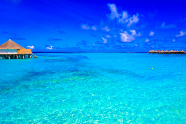 地球自转水为什么掉不下去