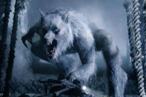 世界上真的有狼人吗在哪里，真实的狼人照片图片是怎样的？