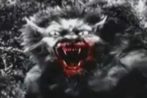 世界上真的有狼人吗在哪里，真实的狼人照片图片是怎样的？