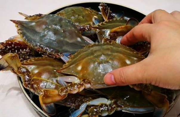 五河大闸蟹中国十大名蟹排行榜，中国都有哪些蟹的产地？