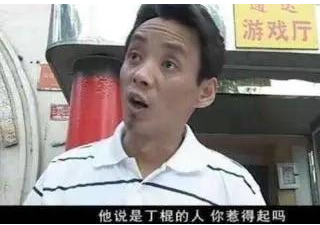 电视剧《征服》里面的丁棍是什么来头什么任务啥背景原型是谁？