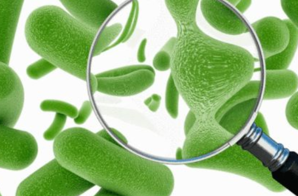 吃益生菌有没有效果