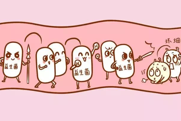 吃益生菌有没有效果