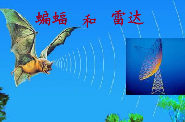 从动物身上得到启示的发明创造都有哪些，哪些发明是借鉴了动物行为