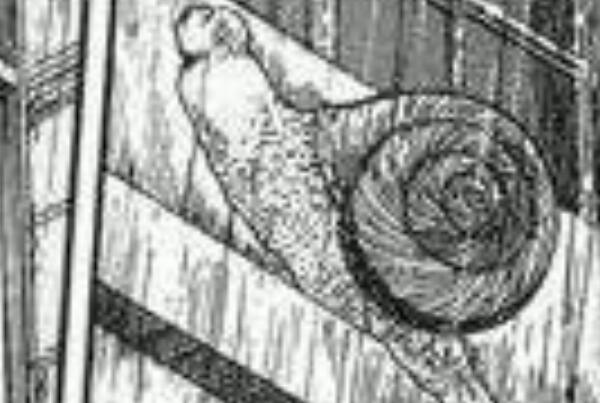 十宗罪蜗牛人恐怖真实照片是怎样的是真实存在的吗？