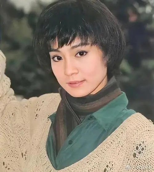 刘雪华为什么独居？62岁刘雪华自曝独居十年24小时开着电视不能关