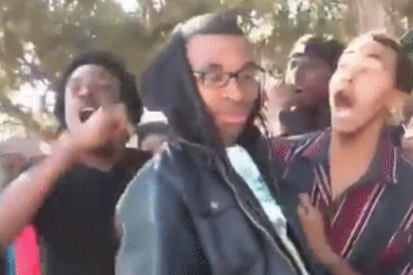 人类智商天花板是啥意思啥梗？出处是哪里怎么火起来的？