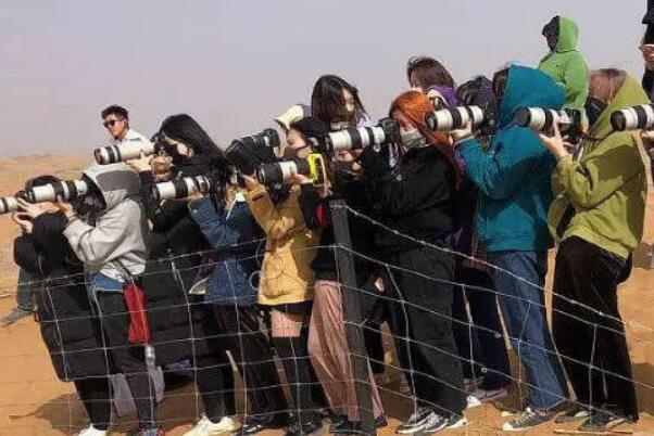 饭圈里的站姐是什么意思是什么梗什么含义有什么特征?