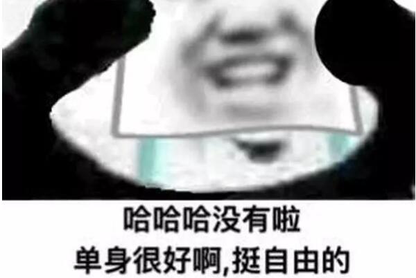 母单母胎solo是什么意思什么梗有什么来源出处是哪里？