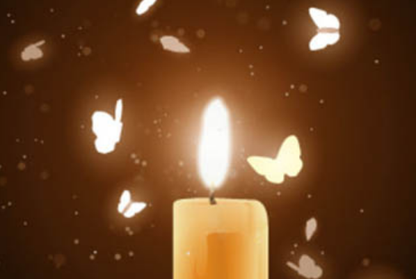 飞蛾为什么会扑火向着光亮的地方飞?驱飞蛾的飞行方式和灯光的关系