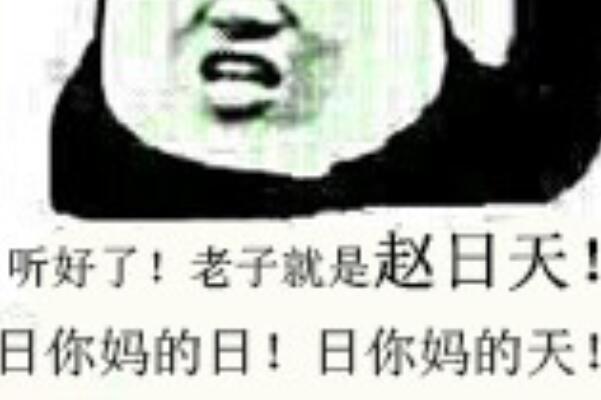 叶良辰和赵日天是什么梗是什么意思代表什么含义出自哪里？