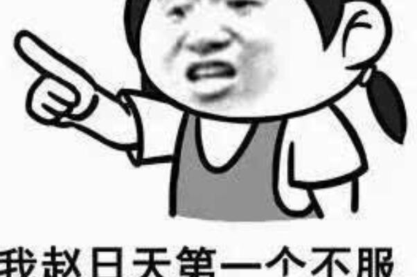 叶良辰和赵日天是什么梗是什么意思代表什么含义出自哪里？