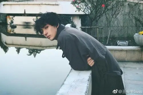 王安宇是谁捧出来的为什么资源那么多?王安宇个人资料 家世