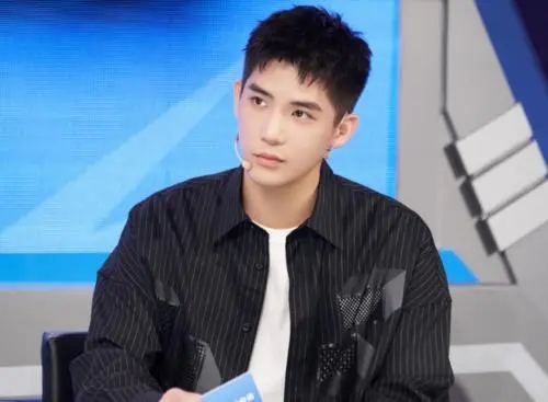 王安宇是谁捧出来的为什么资源那么多?王安宇个人资料 家世