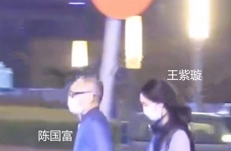 王紫璇陈国富绯闻是怎么回事两人什么关系?王紫璇陈国富相差几岁
