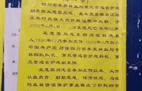 凉山火灾扑火英雄王慧蓉个人资料简介是哪里人？王慧蓉死亡原因