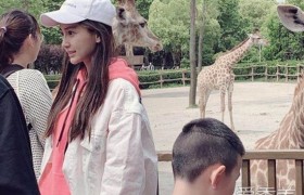 Baby杨颖怎么了逛动物园咋回事？Baby为何独自一人逛动物园？