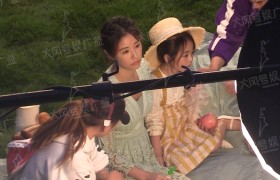 林心如被疑怀二胎是真的吗怎么回事？林心如为何不拍戏了怀二胎了