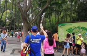 打吊瓶看熊猫被免票，官方为其发“熊猫护照”这就是真粉丝的福利